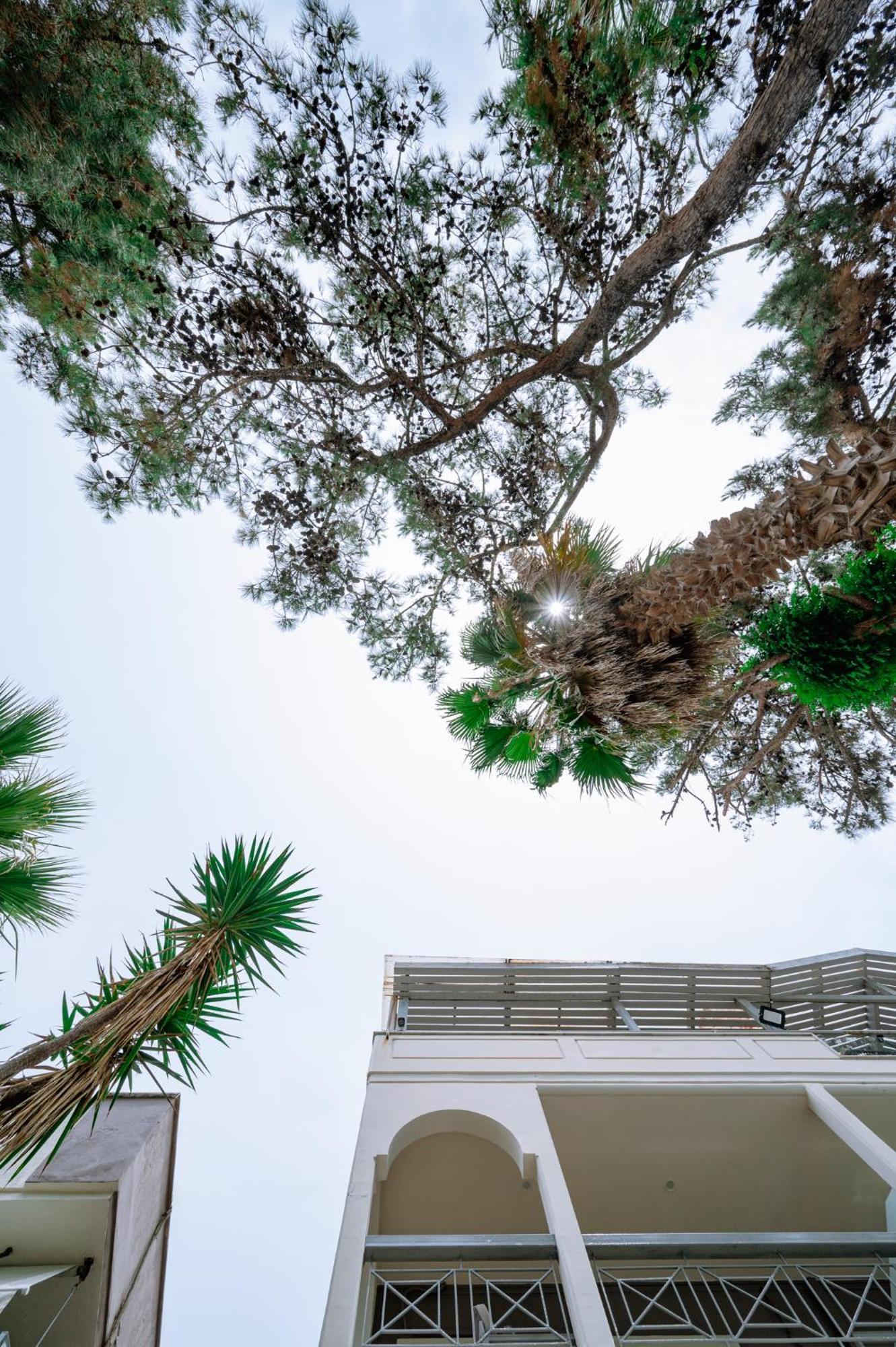 Ktima Papaoikonomou Apartamento Potos Exterior foto